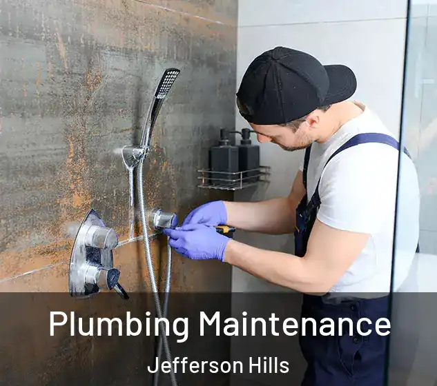  Plumbing Maintenance Jefferson Hills