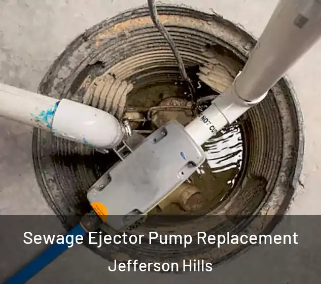  Sewage Ejector Pump Replacement Jefferson Hills