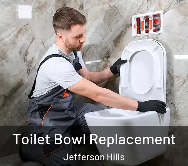  Toilet Bowl Replacement Jefferson Hills
