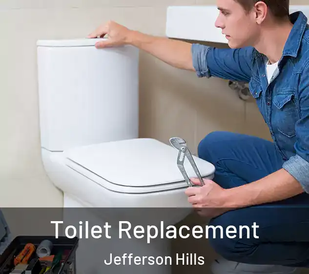  Toilet Replacement Jefferson Hills