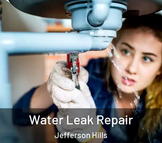  Water Leak Repair Jefferson Hills
